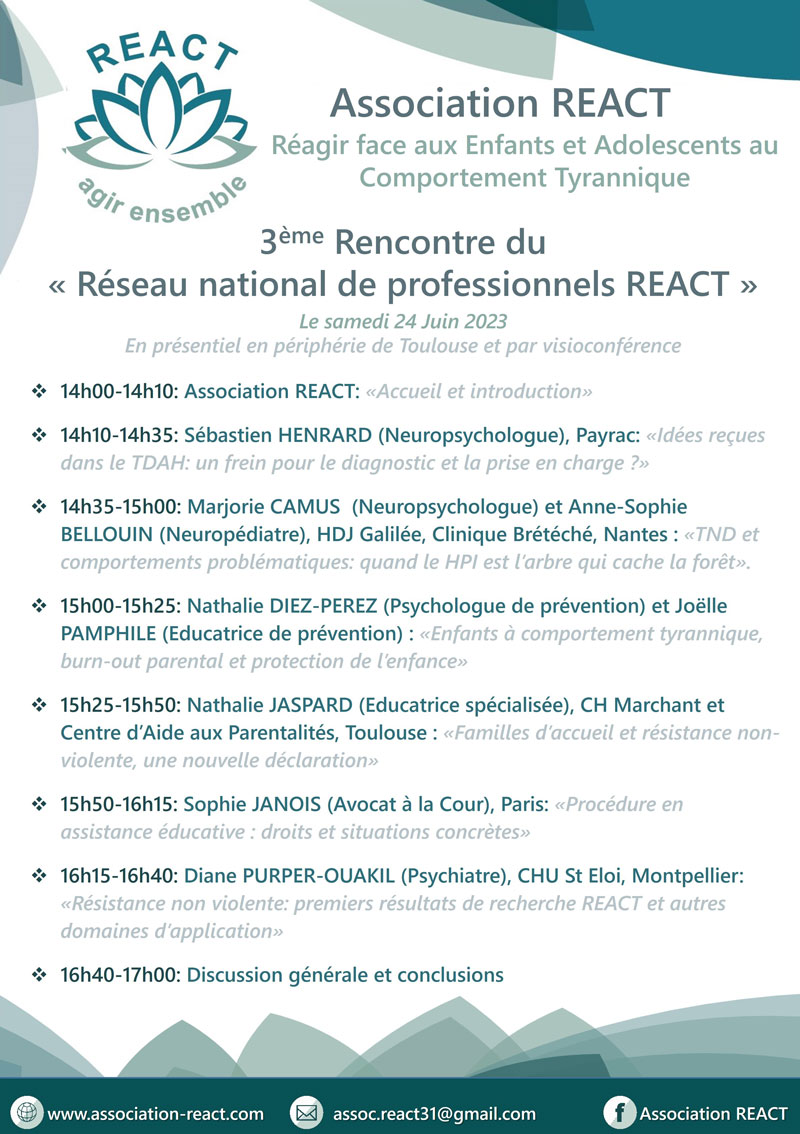 programme de la 3ème rencontre du Réseau Professionnel REACT