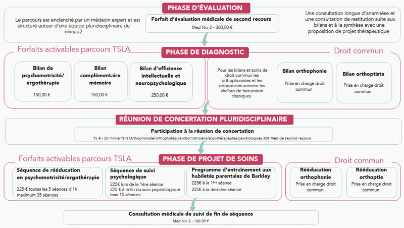 Exemple de Plan Personnalisé de Coordination et de Soin (PPCS) - niveau 2, situation complexe Parcours de santé TSLA Occitanie